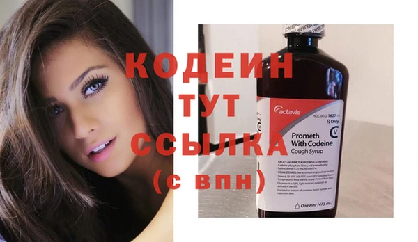 дживик Каменка